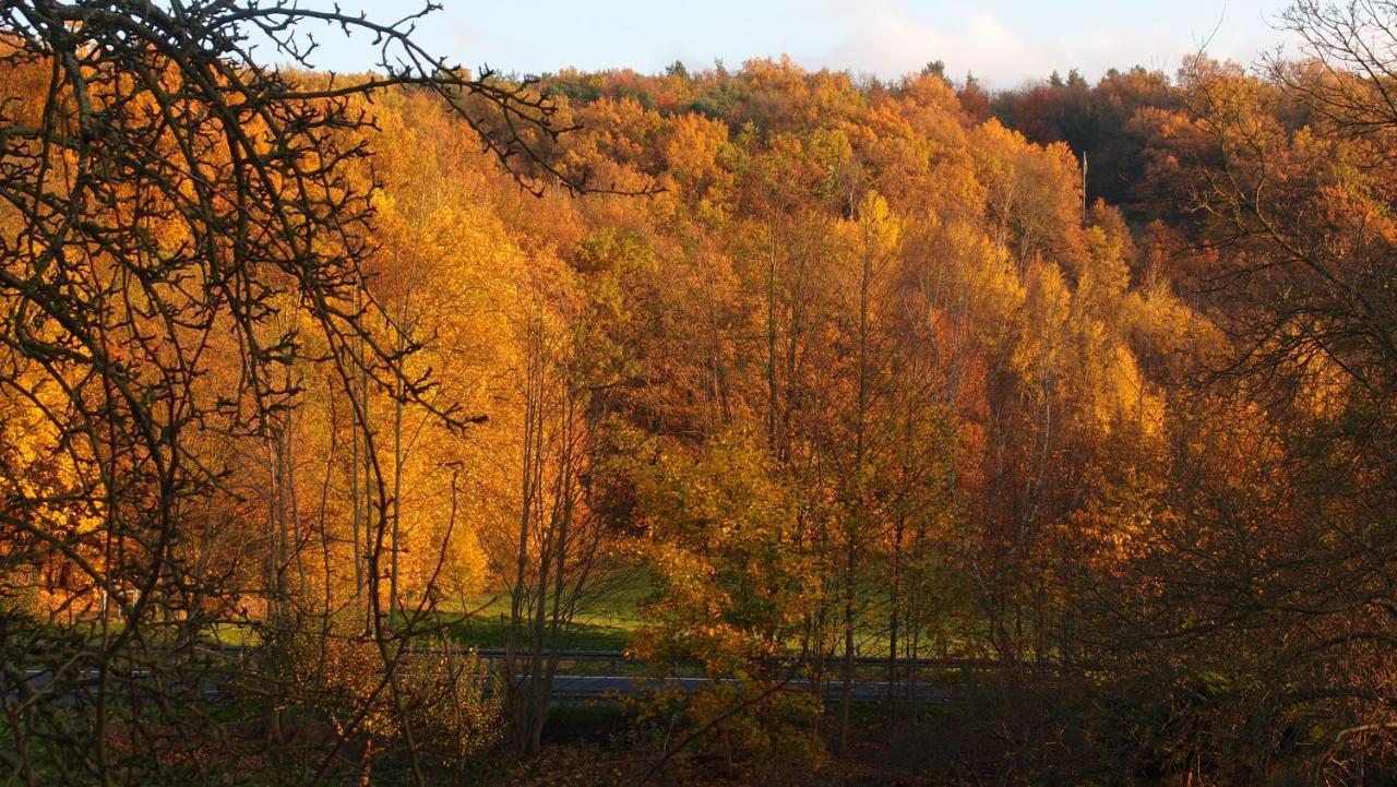 Ferienwohnung Und Pension "Zur Aue" Konigsbruck Exteriör bild
