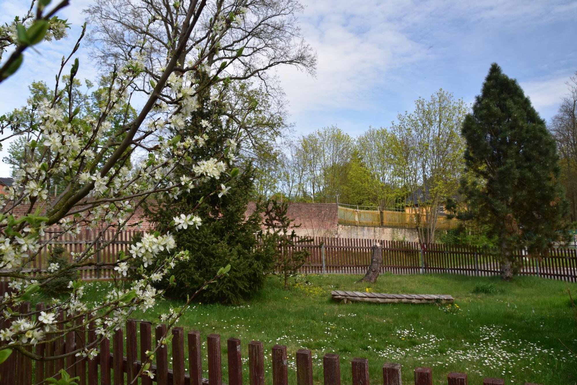 Ferienwohnung Und Pension "Zur Aue" Konigsbruck Exteriör bild