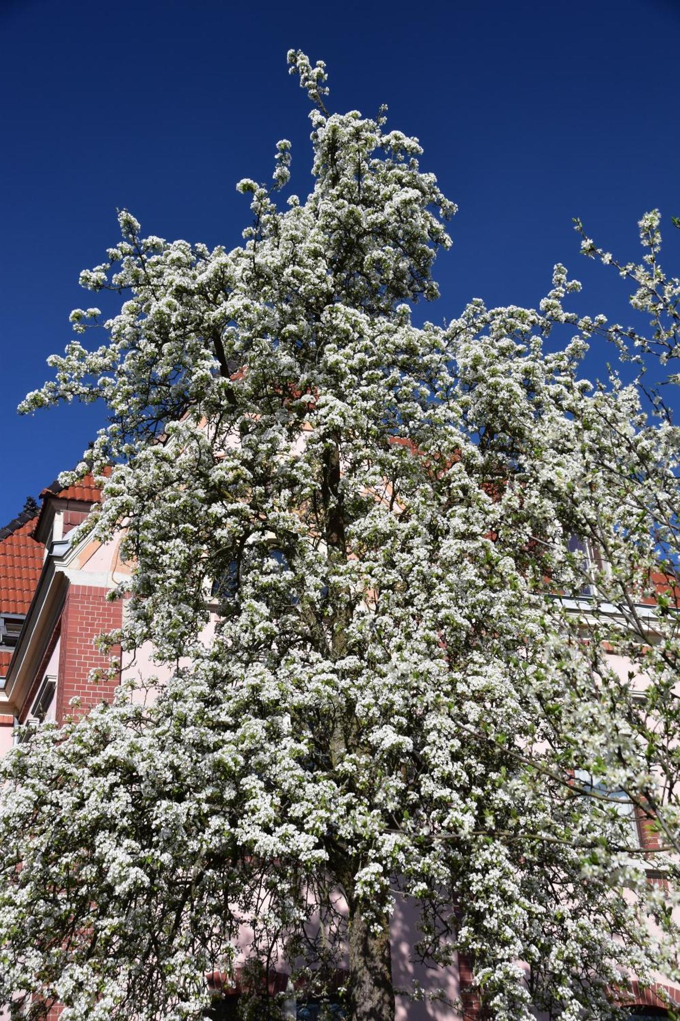 Ferienwohnung Und Pension "Zur Aue" Konigsbruck Exteriör bild
