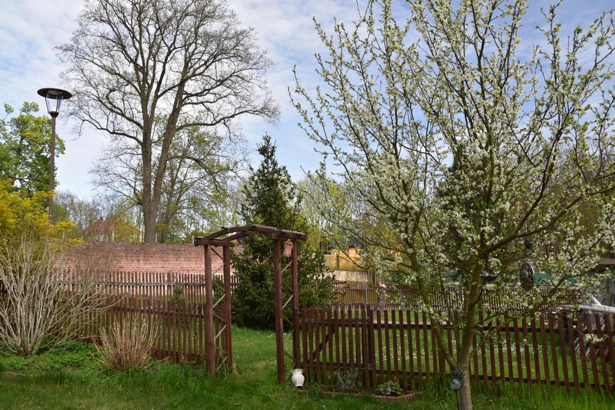 Ferienwohnung Und Pension "Zur Aue" Konigsbruck Exteriör bild